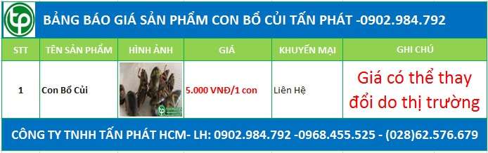 Bảng giá con bổ củi tại Nha Trang chữa vô sinh ở nam giới