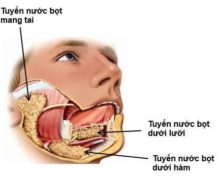 Lợi ích ít người biết của nước bọt trong cơ thể chúng ta